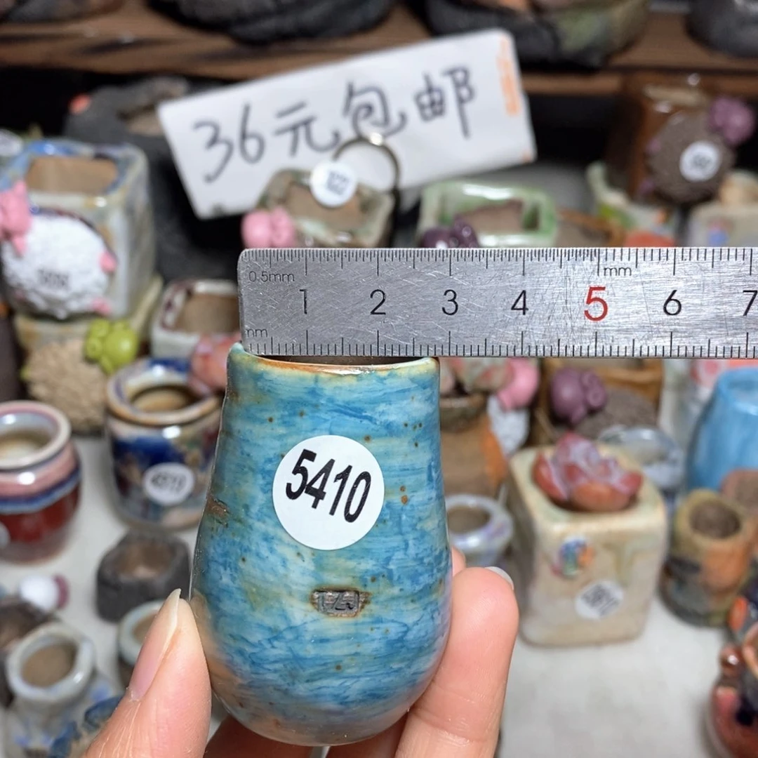 拍5送一个小礼物