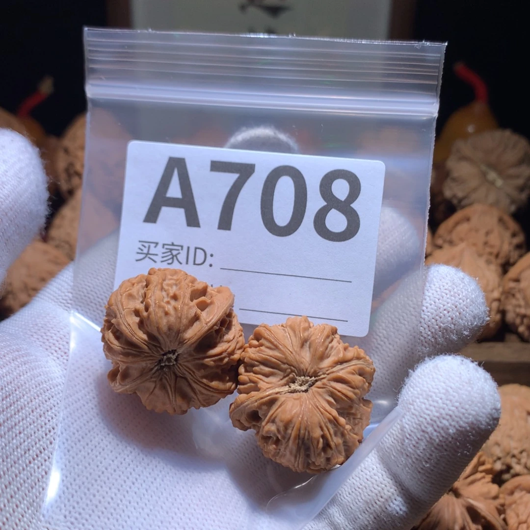 核桃野生龙珠，32尺