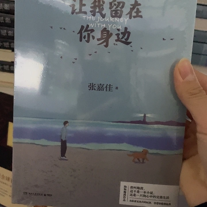 让我留在你身边 平装带塑封