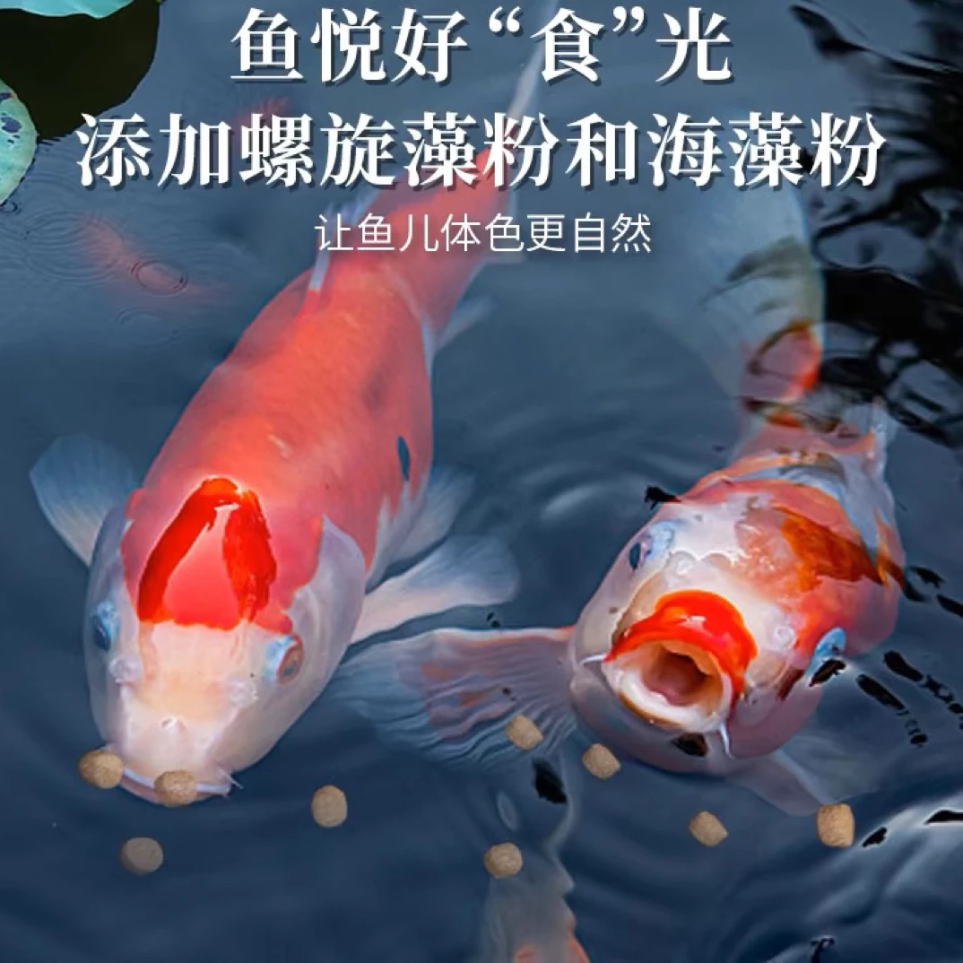 锦鲤饲料观赏鱼专用鱼粮天然增色不浑水颗粒鱼食高蛋白螺旋藻色扬