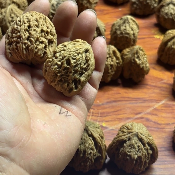 我***恒大叶紫檀（黑酸枝木类）
