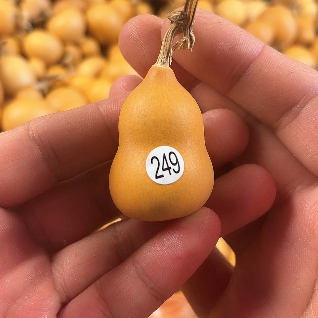 二葫芦葫芦葫芦葫芦249