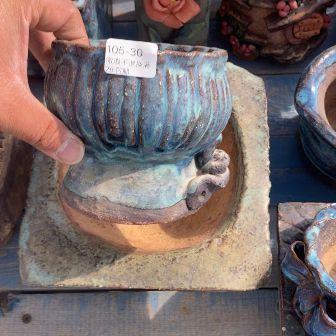 30号花盆内10高11.5