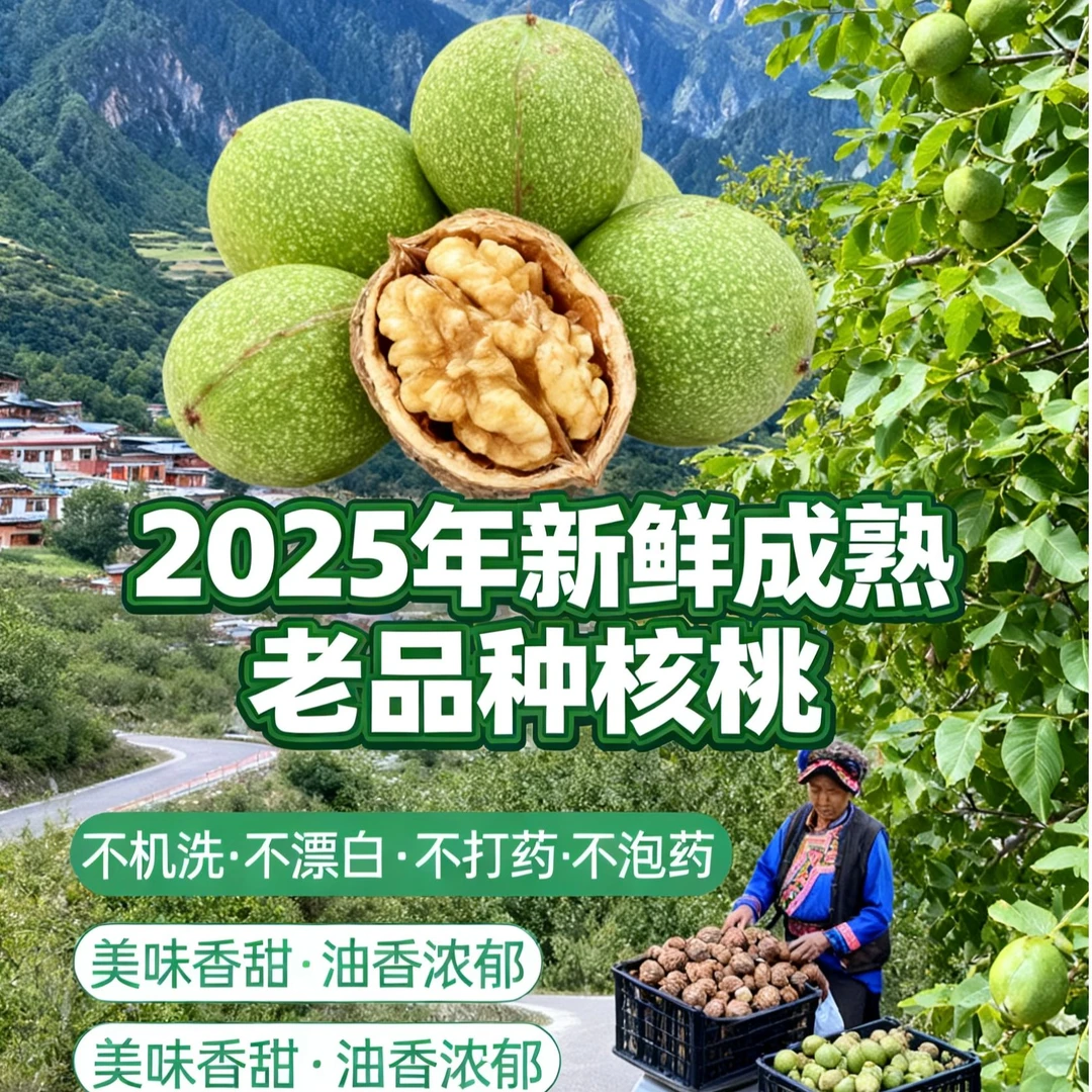 不漂白不机洗四川阿坝2025年新鲜老树高山核桃海拔2500米