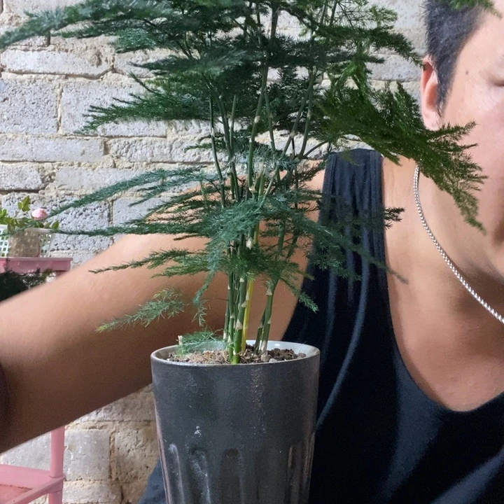 完全开放退款拉黑一物一拍185