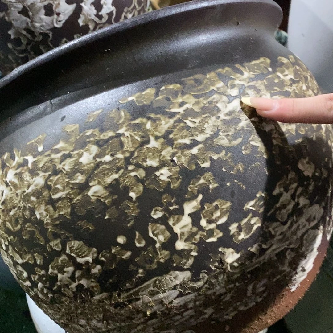 紫砂花盆正品30/25gjgfhhghhhj