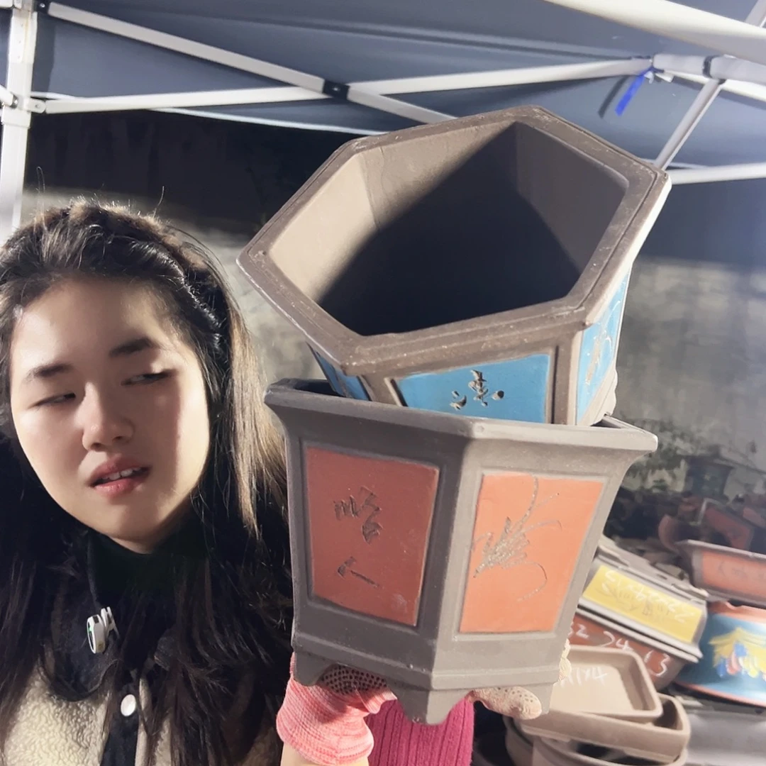 25红六方+25蓝六方花盆花盆花盆