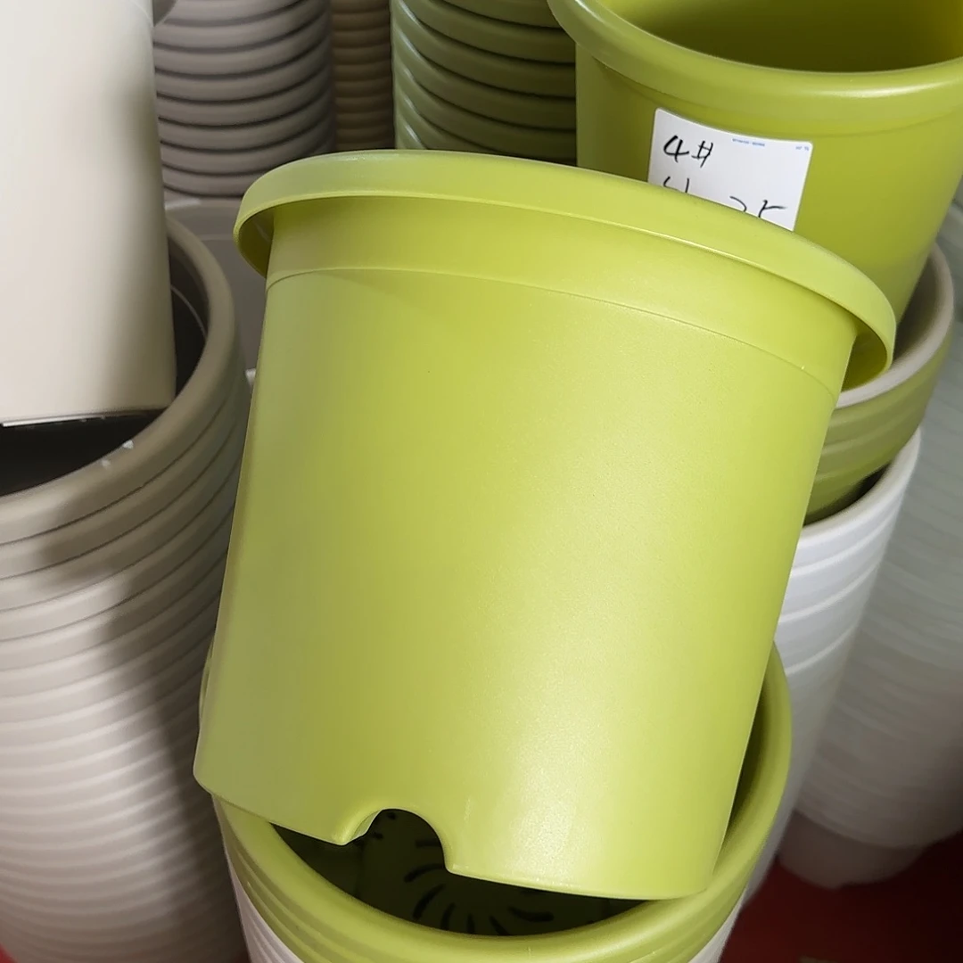 树脂四季5号无托6个果绿