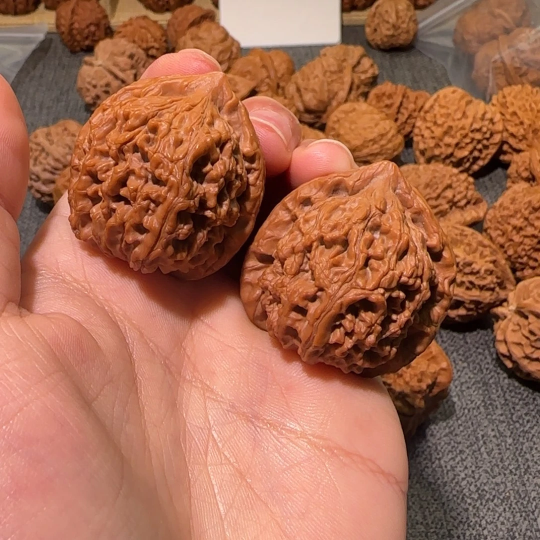 核桃39尺全品水龙纹
