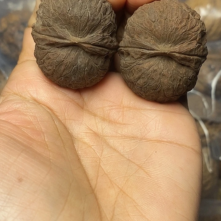 文玩核桃把件云南铁核桃13