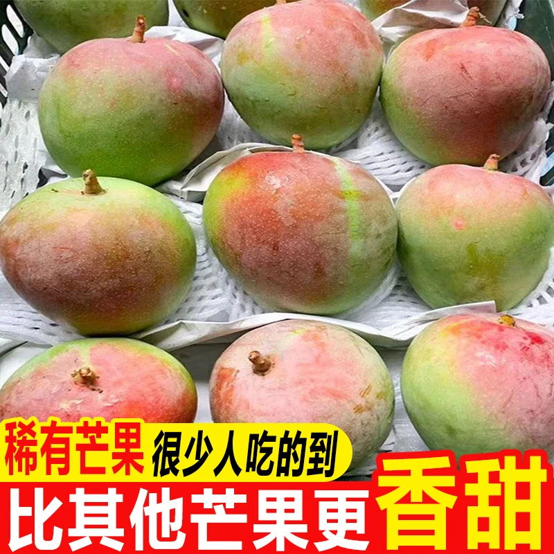 【现摘爆甜】云南正宗澳芒苹果芒新鲜热带当季大芒果彩虹芒