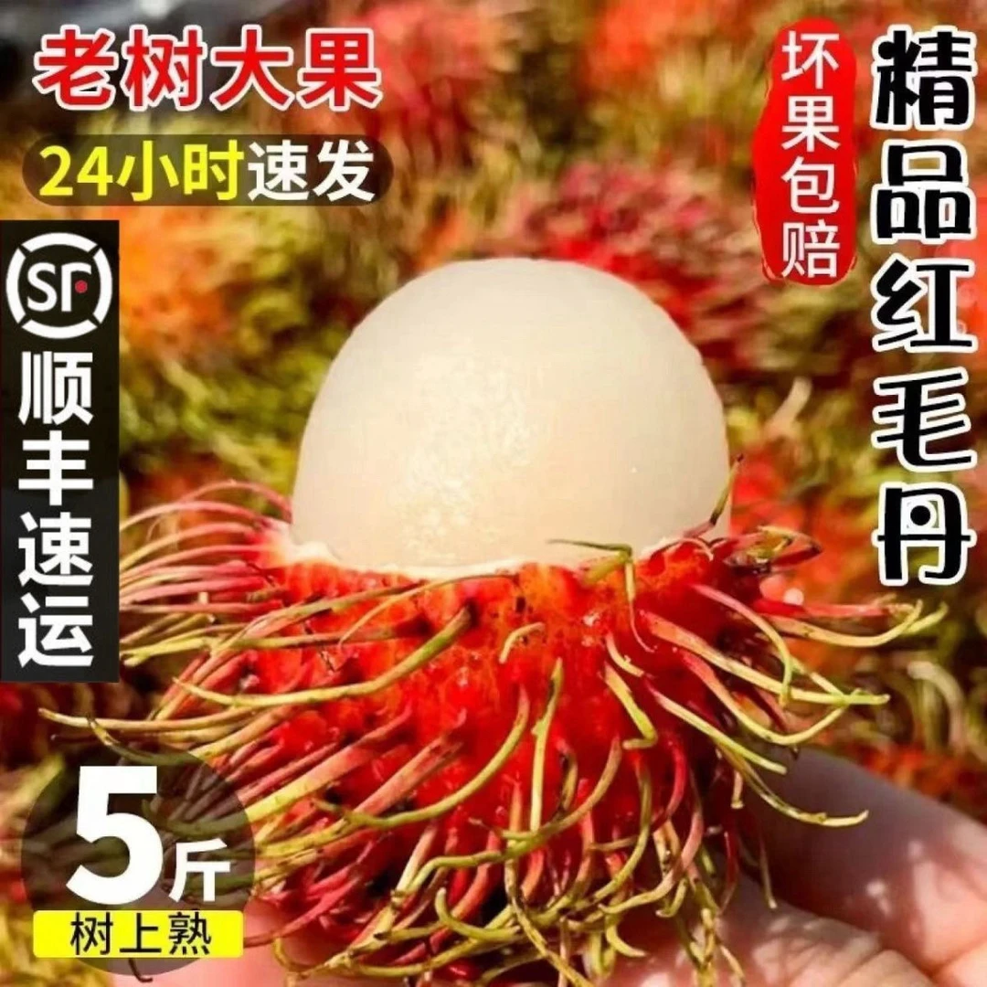 【顺丰冷链】红毛丹新鲜毛荔枝水果红毛果孕妇甜现摘现发整箱