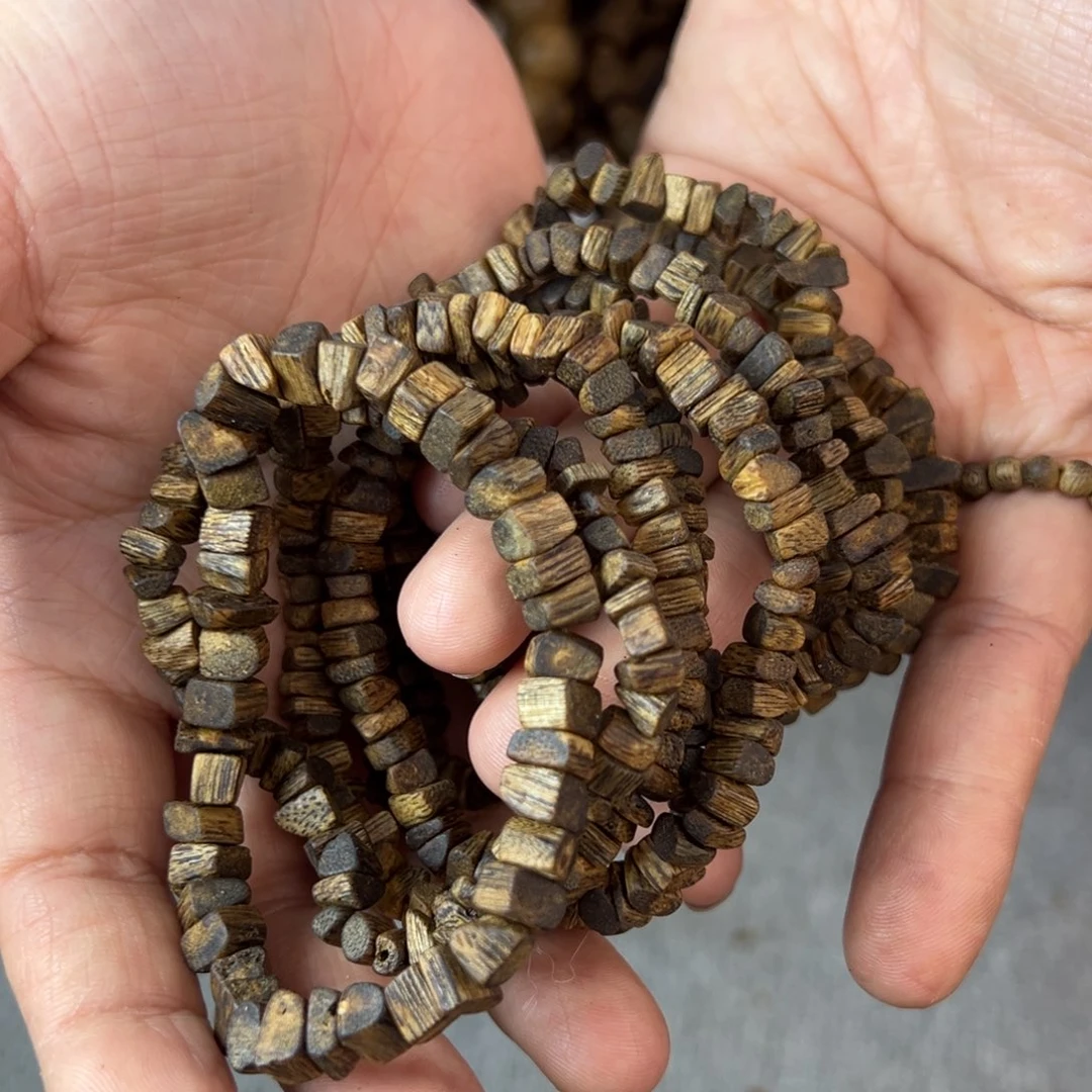 沉香沉香碎屑xysx虫漏随型树丁单圈多样性发一条