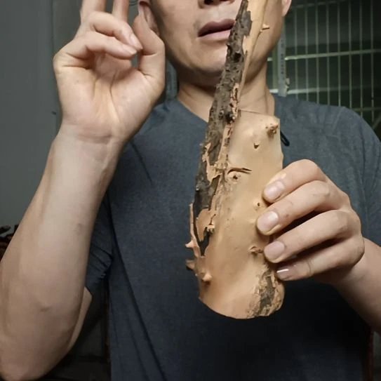 t***n木高山 檬子木文玩料