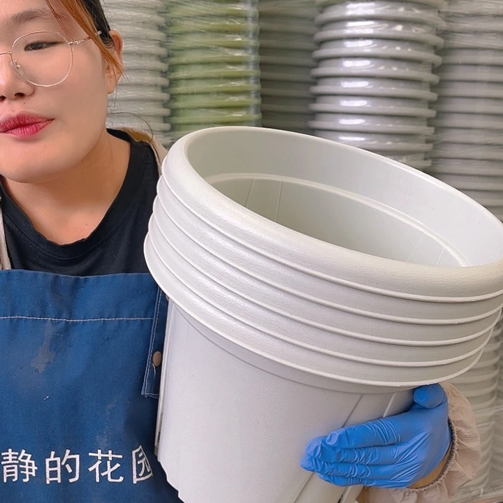 青山盆6#米白色5个无托