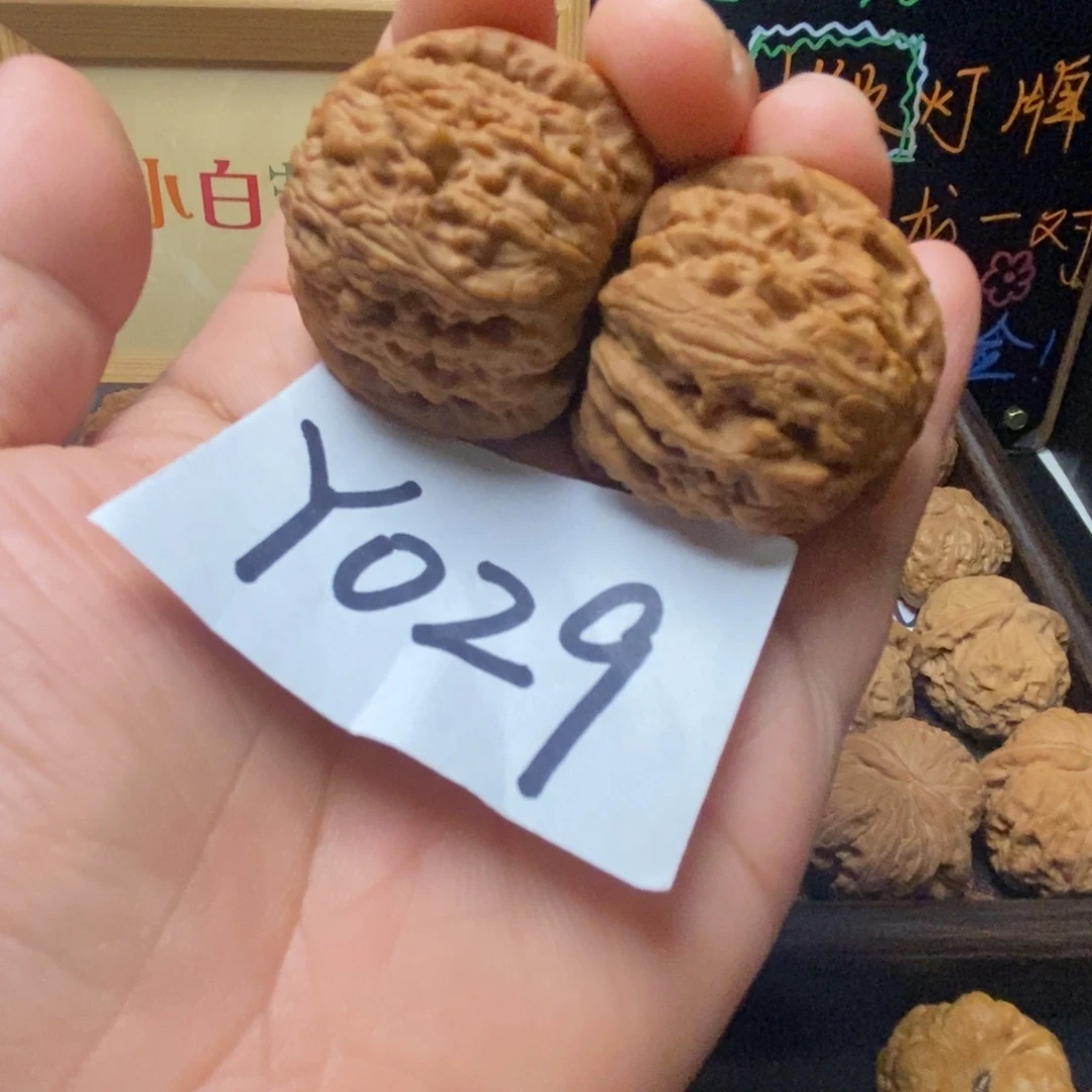 把件文玩核桃37尺白狮子
