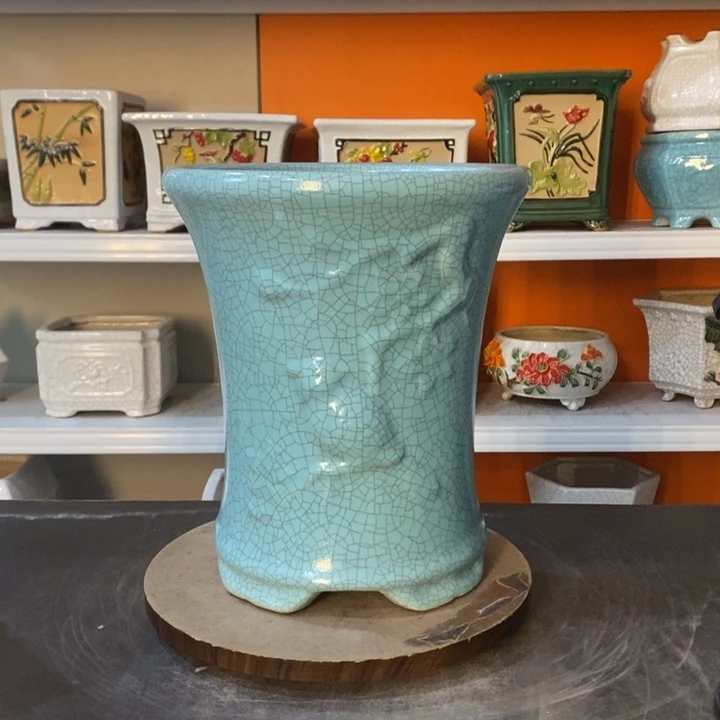 红陶王*利花盆里的小猫咪们