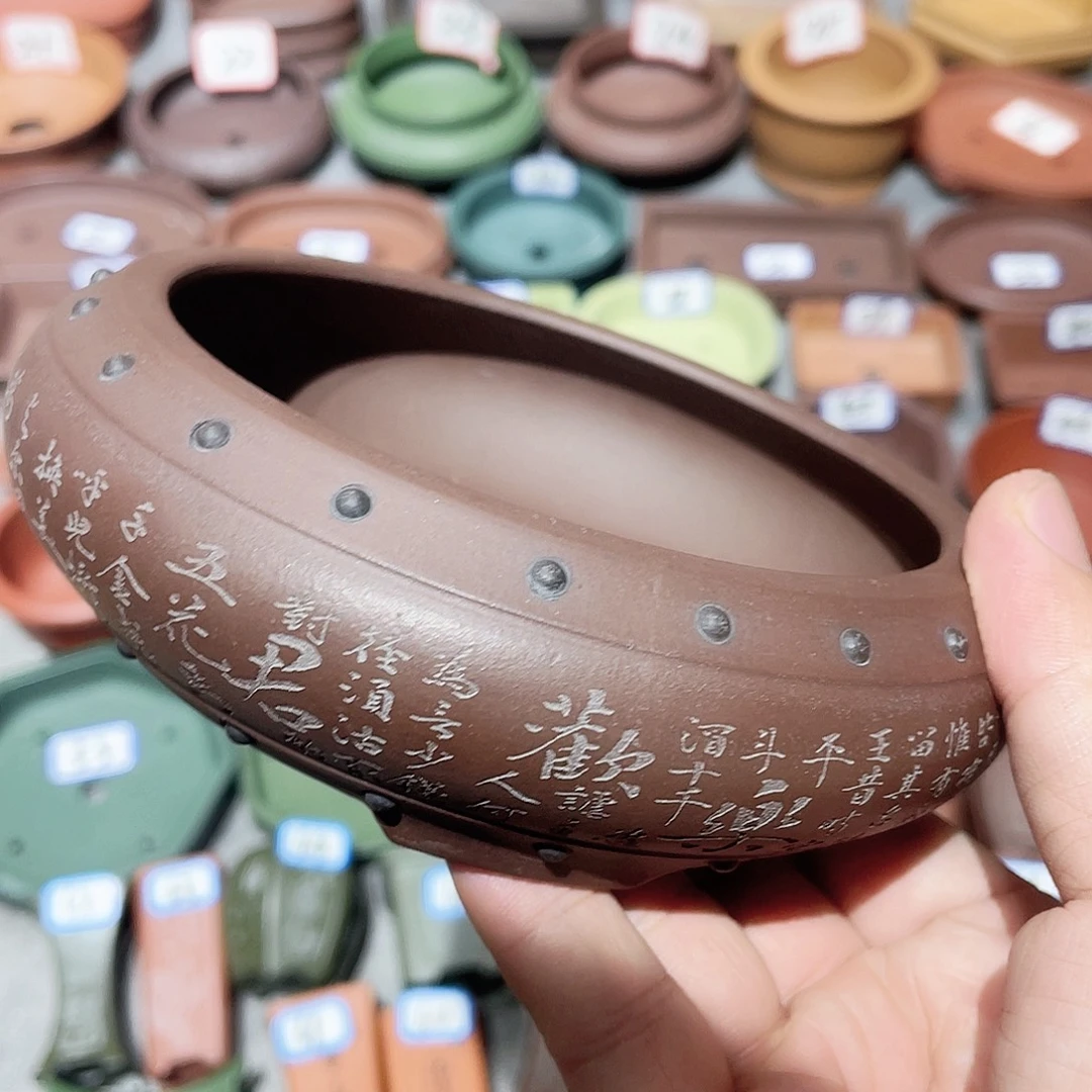 紫砂小盆11*3cmmmmm
