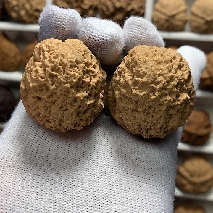 核桃40尺蚂蚁纹5号