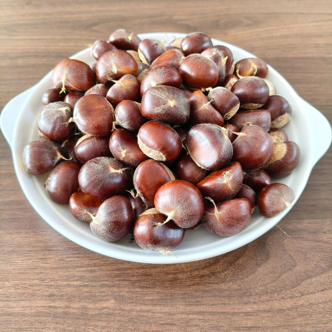 2025年沂蒙山山栗子（5斤一单）