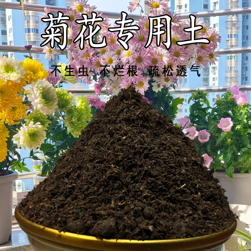 菊花类专用土盆栽土肥料花泥土菊花类营养土通用种花养花种植土壤