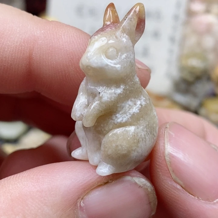 颈饰未镶嵌硅化珊瑚（珊瑚玉）小