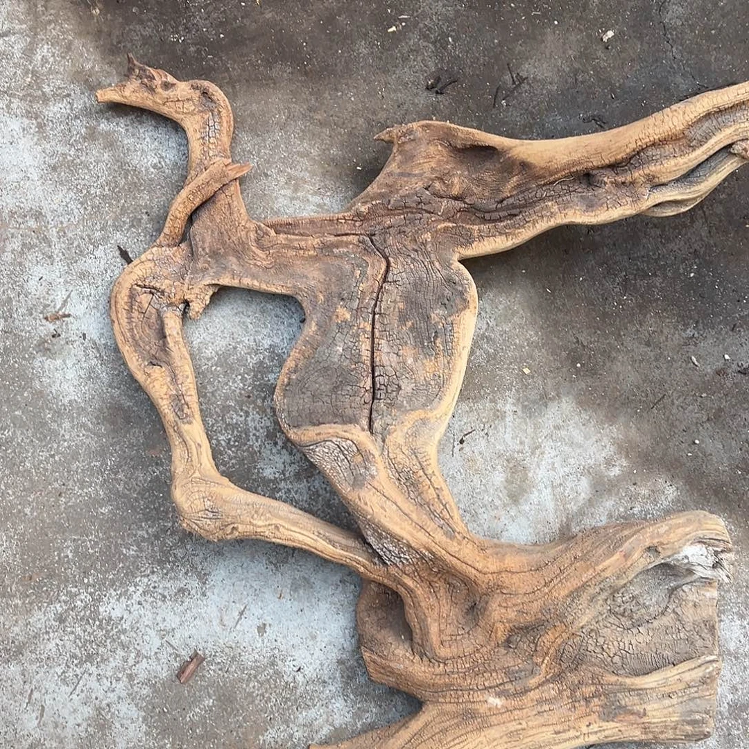 木崖柏88877888887