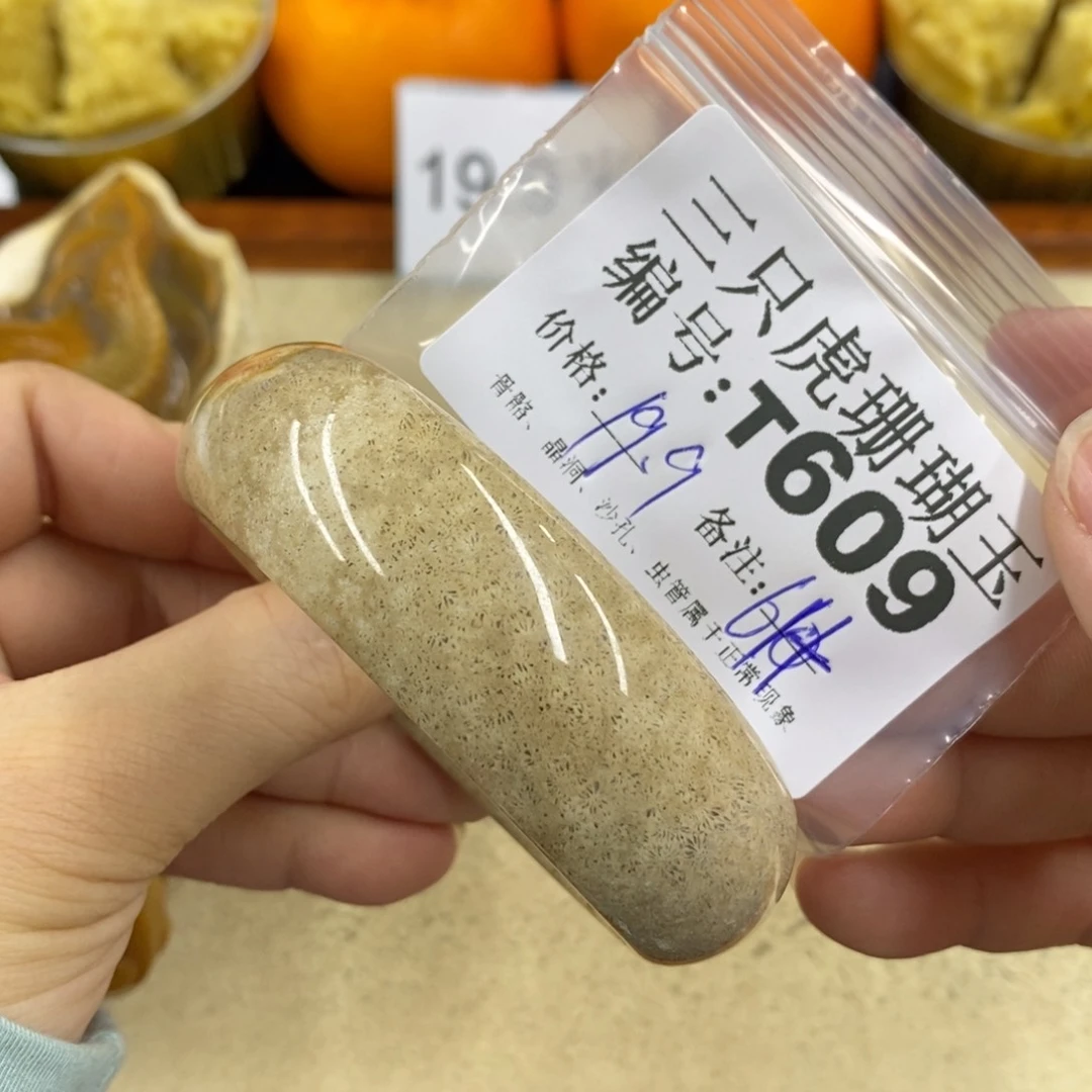 硅化珊瑚（珊瑚玉）1未镶嵌丁*