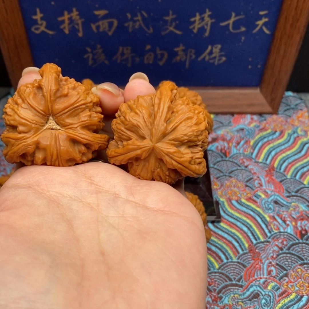 【闪购商品】暗****孩白狮