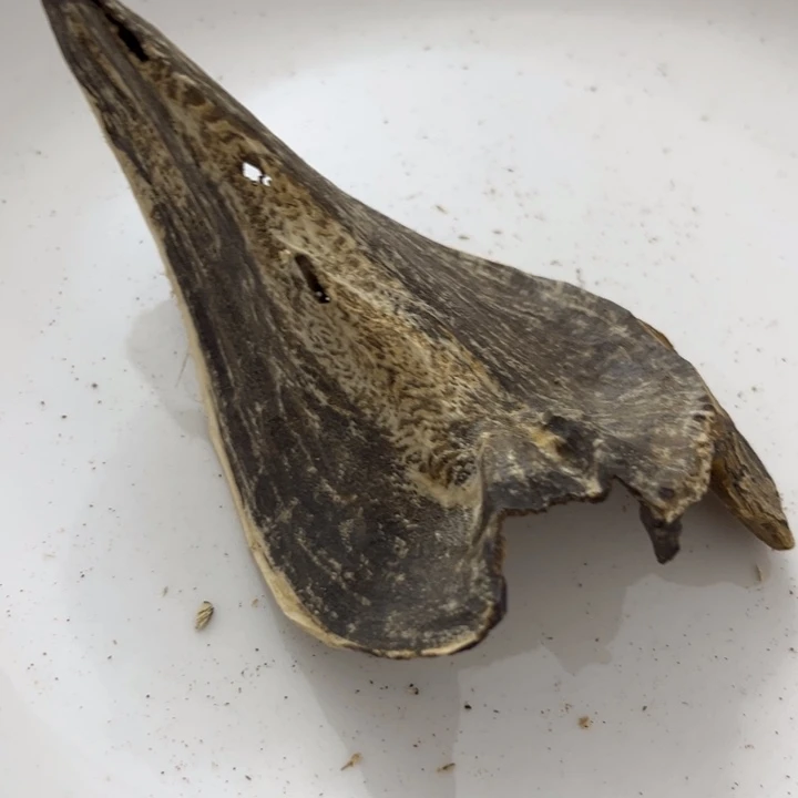 沉香木摆件海南壳子9克+