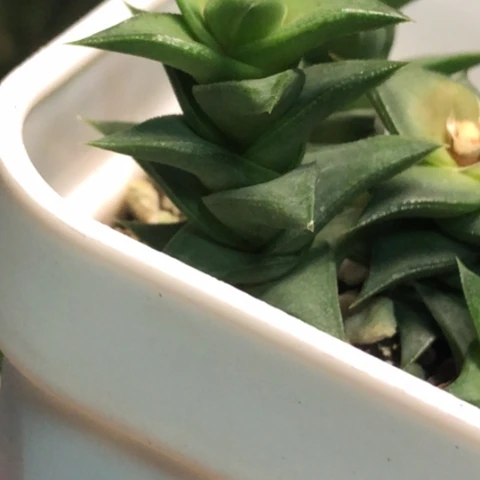 教****师2颗哈哈哈哈哈哈哈哈哈