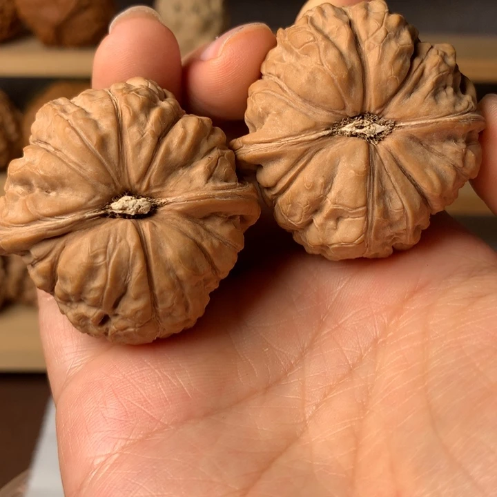 蓝***涌大叶紫檀（黑酸枝木类）南瓜9