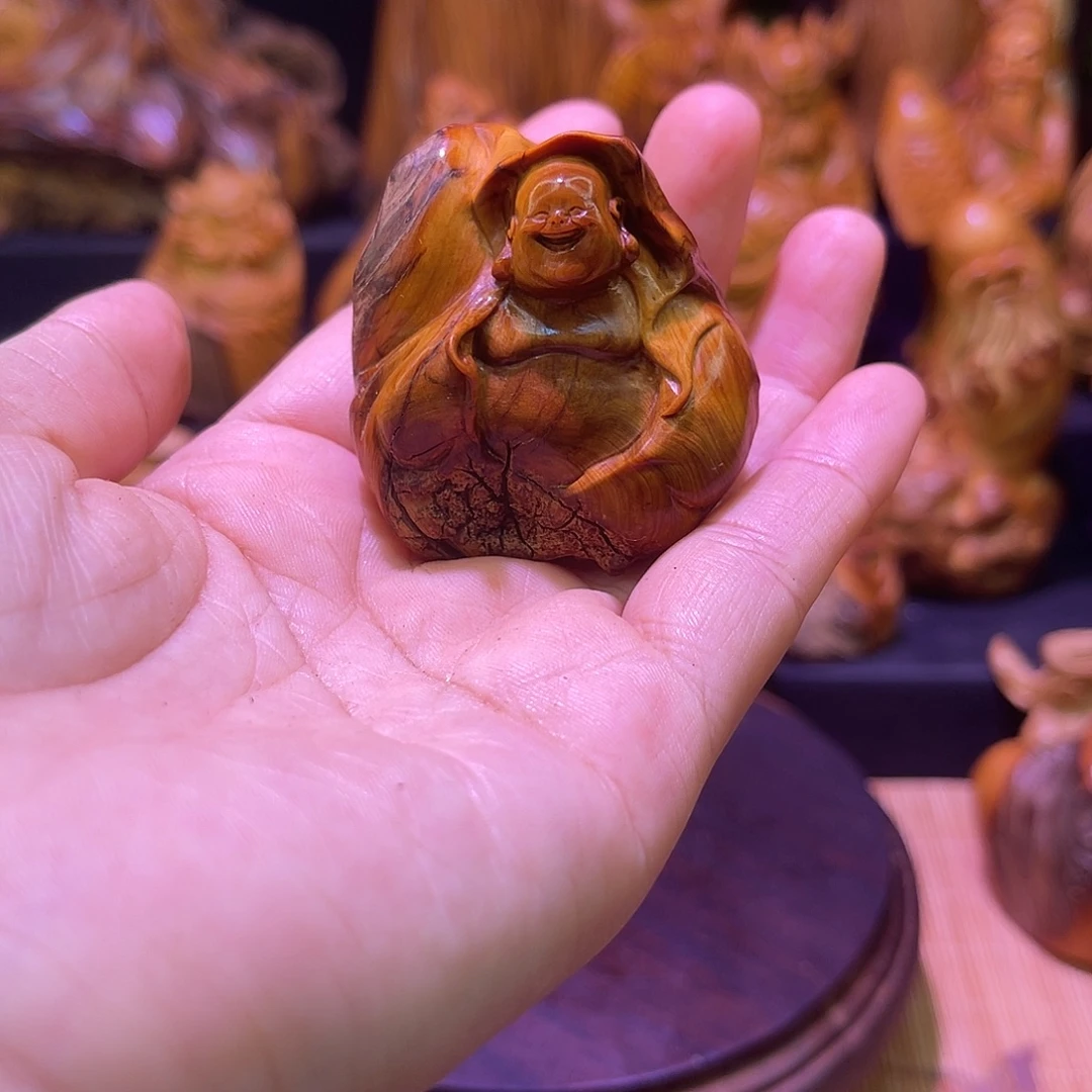 柏木88888888888888888