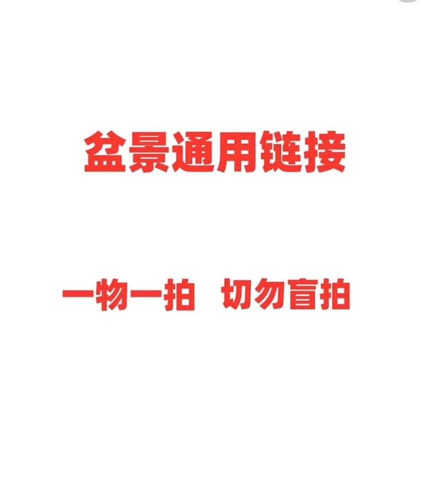 迎春花耐热耐寒好养