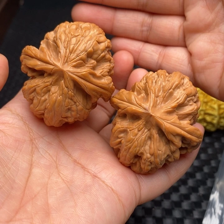 文玩核桃把件红锦鲤48尺
