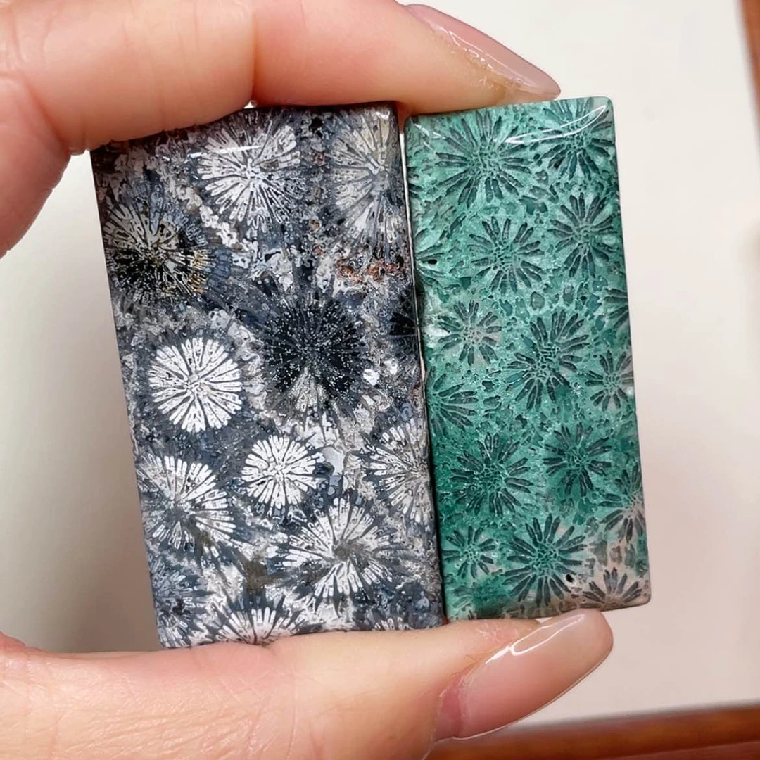 【闪购商品】未镶嵌吊坠(赠链)硅化玉