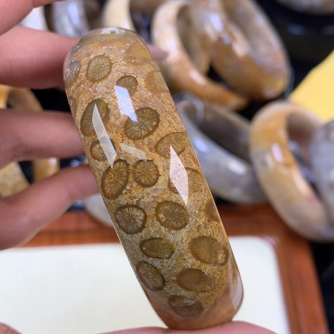 【闪购商品】颈饰未镶嵌硅化珊瑚（珊瑚玉）良**院