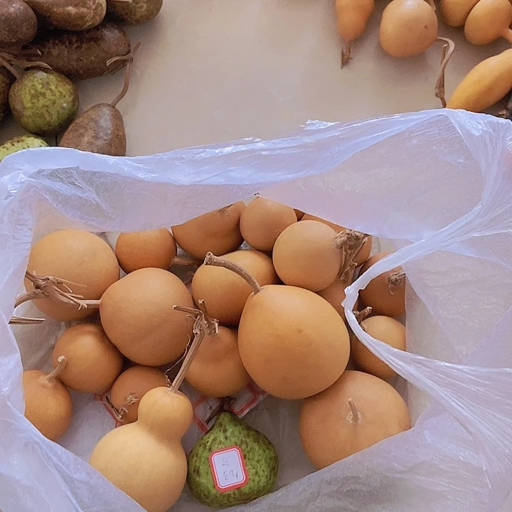 1***人123木头人木头人木头人