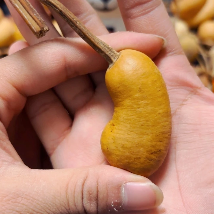 挑**切888888998888888888888