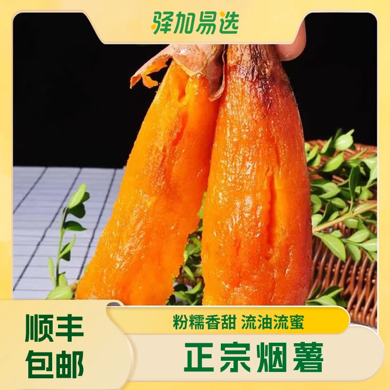 【山东特产烟薯】新鲜糖心蜜薯流油香甜蒸煮红薯烤地瓜4.5斤TXK