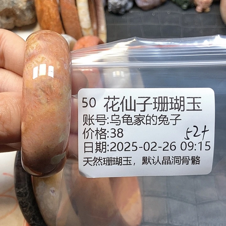 硅化珊瑚（珊瑚玉）手镯未镶嵌乌****子50