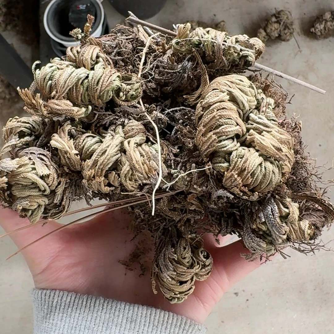 【闪购商品】14哈哈哈哈哈哈哈