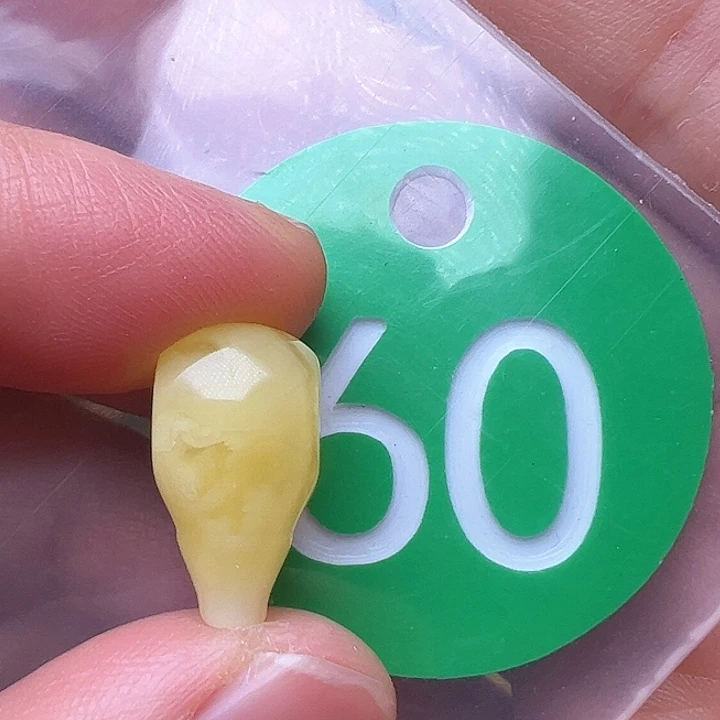 蜜蜡裸石未镶嵌崽*。8.9m m