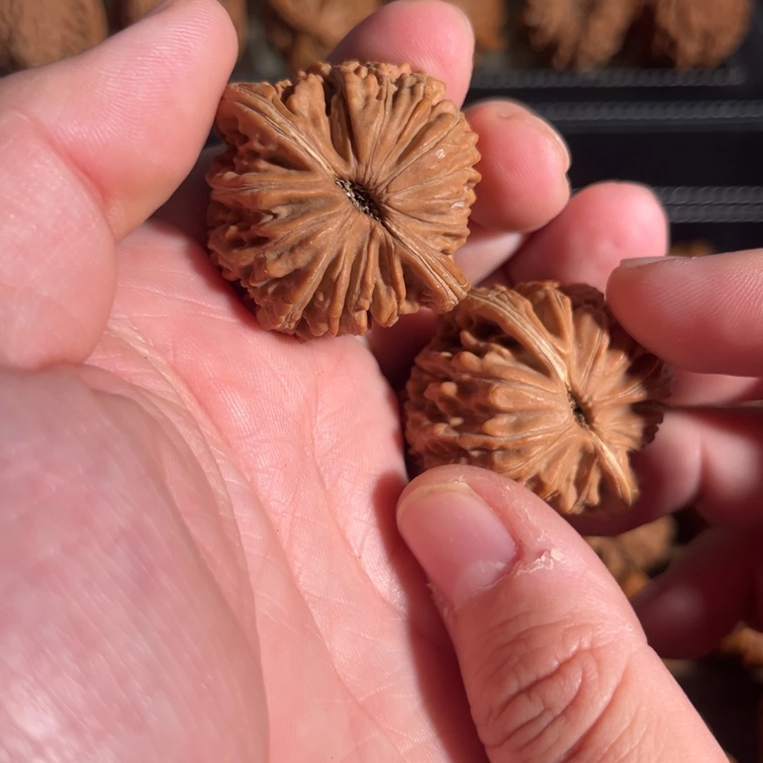 手串/手链核桃恭**喜39全品四座楼