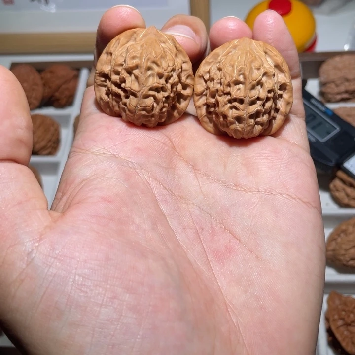 核桃文玩核桃原树核王