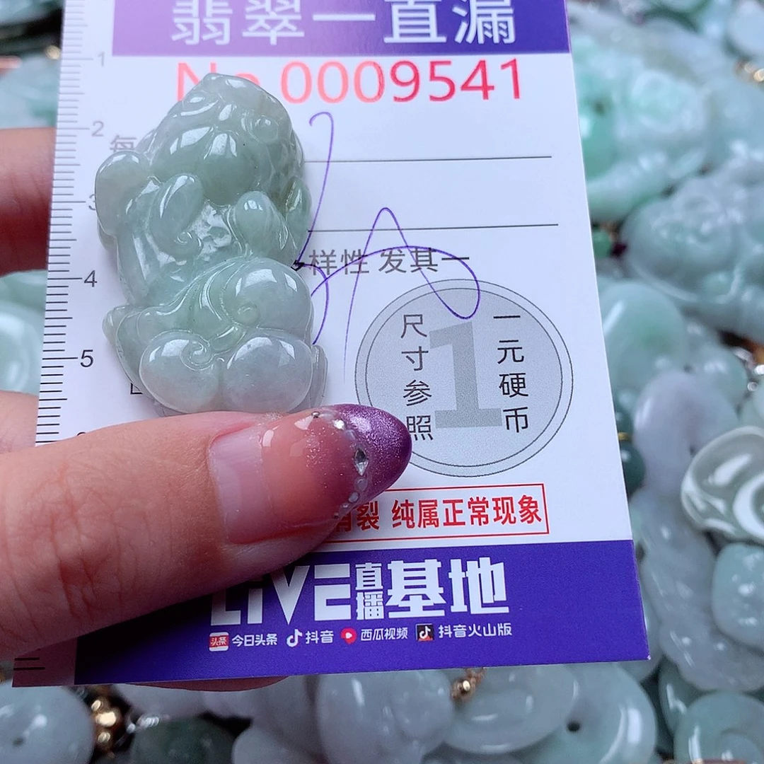 翡翠未镶嵌颈饰9541