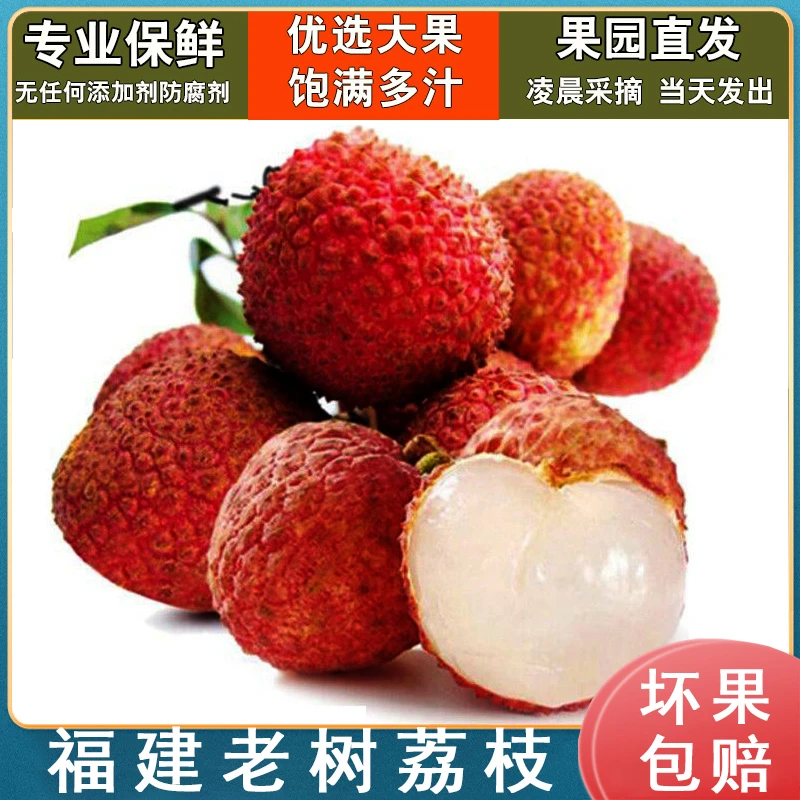 【产地冷链直发】福建老树黑叶荔枝当季孕妇水果现摘现发鲜甜多汁