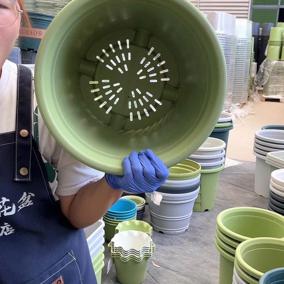 四季盆7#果绿色6个无托