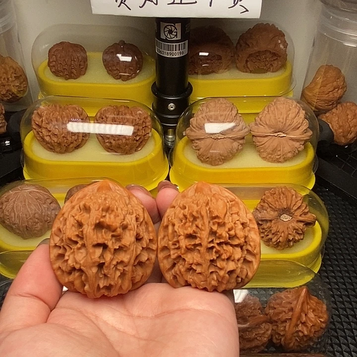 46小众玉麒麟