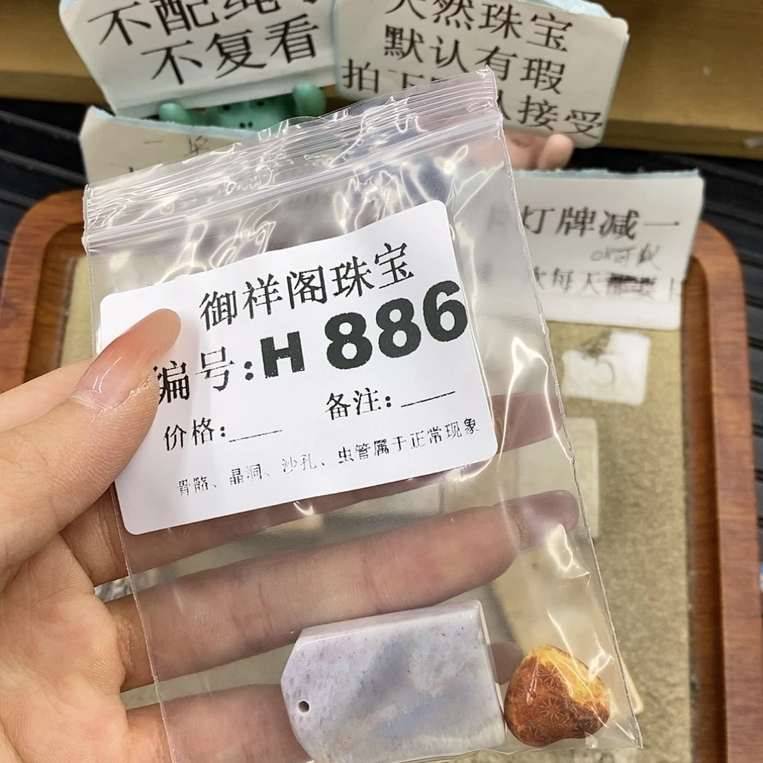 硅化珊瑚（珊瑚玉）未镶嵌颈饰乐*